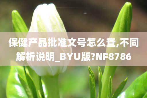 保健产品批准文号怎么查,不同解析说明_BYU版?NF8786