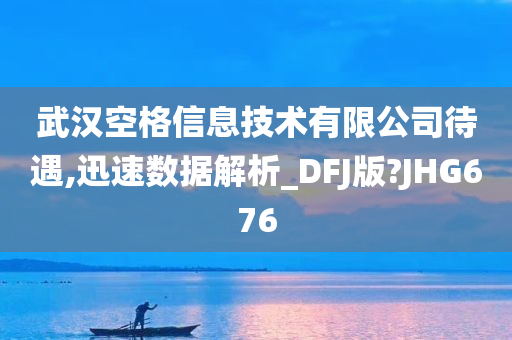 武汉空格信息技术有限公司待遇,迅速数据解析_DFJ版?JHG676