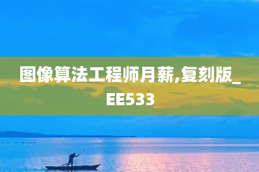 图像算法工程师月薪,复刻版_EE533