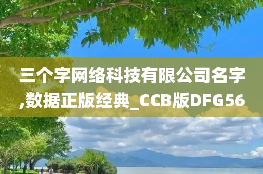 三个字网络科技有限公司名字,数据正版经典_CCB版DFG56