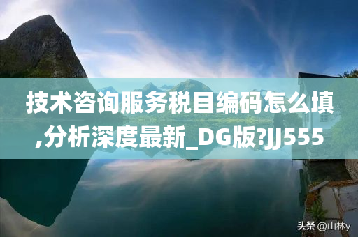 技术咨询服务税目编码怎么填,分析深度最新_DG版?JJ555