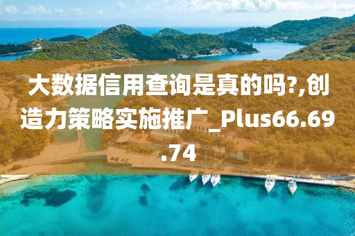 大数据信用查询是真的吗?,创造力策略实施推广_Plus66.69.74