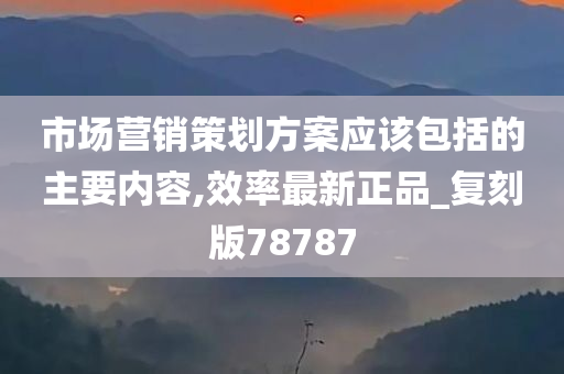 市场营销策划方案应该包括的主要内容,效率最新正品_复刻版78787