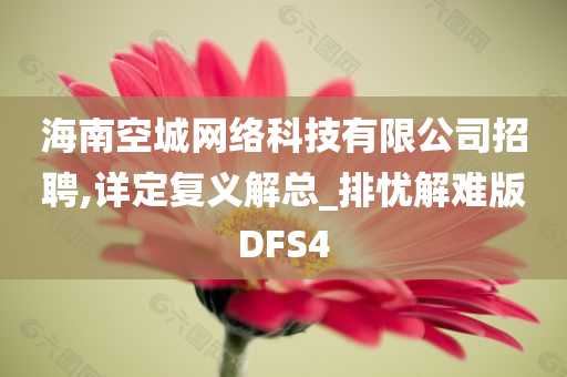 海南空城网络科技有限公司招聘,详定复义解总_排忧解难版DFS4