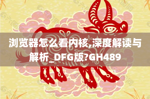 浏览器怎么看内核,深度解读与解析_DFG版?GH489