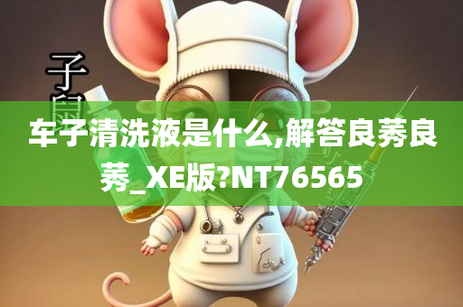 车子清洗液是什么,解答良莠良莠_XE版?NT76565