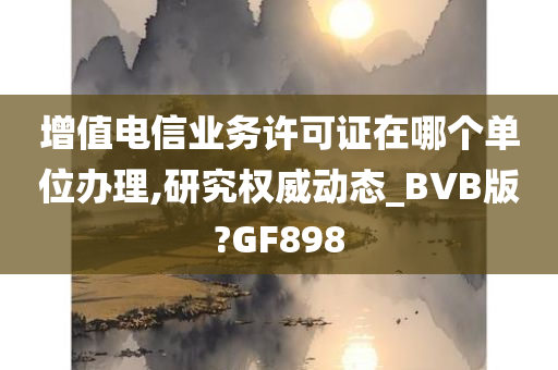 增值电信业务许可证在哪个单位办理,研究权威动态_BVB版?GF898