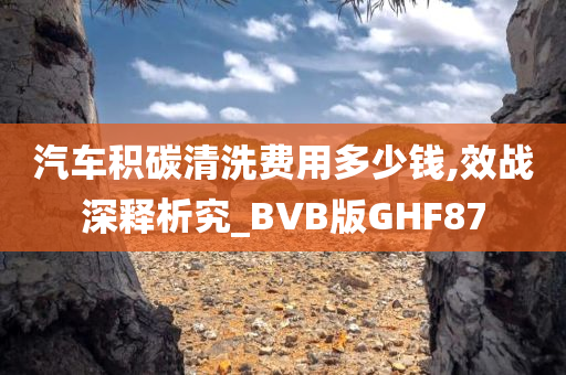 汽车积碳清洗费用多少钱,效战深释析究_BVB版GHF87