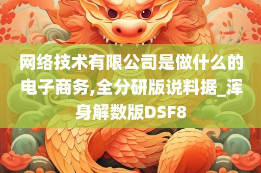 网络技术有限公司是做什么的电子商务,全分研版说料据_浑身解数版DSF8