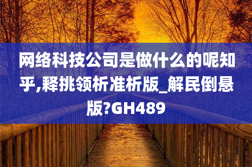 网络科技公司是做什么的呢知乎,释挑领析准析版_解民倒悬版?GH489