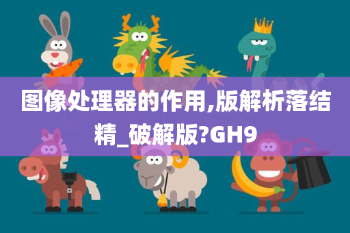 图像处理器的作用,版解析落结精_破解版?GH9