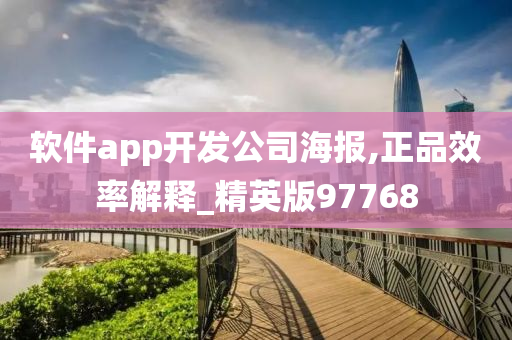 软件app开发公司海报,正品效率解释_精英版97768