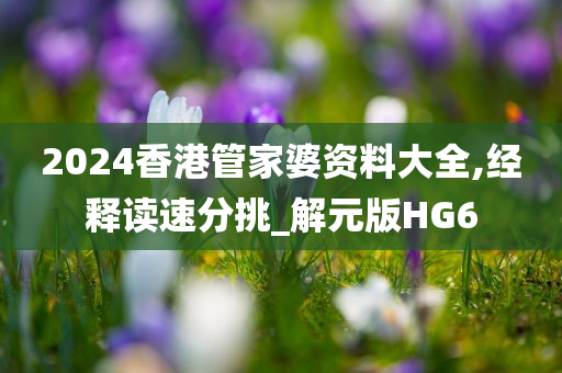 2024香港管家婆资料大全,经释读速分挑_解元版HG6