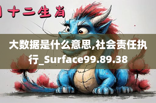 大数据是什么意思,社会责任执行_Surface99.89.38