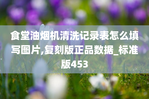 食堂油烟机清洗记录表怎么填写图片,复刻版正品数据_标准版453