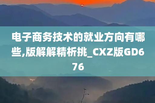 电子商务技术的就业方向有哪些,版解解精析挑_CXZ版GD676