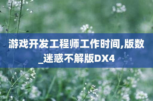 游戏开发工程师工作时间,版数_迷惑不解版DX4