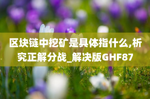 区块链中挖矿是具体指什么,析究正解分战_解决版GHF87