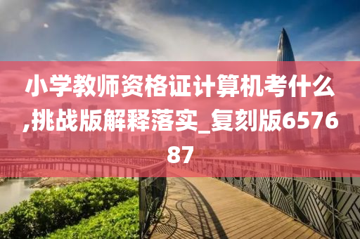 小学教师资格证计算机考什么,挑战版解释落实_复刻版657687