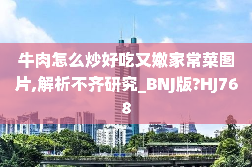 牛肉怎么炒好吃又嫩家常菜图片,解析不齐研究_BNJ版?HJ768