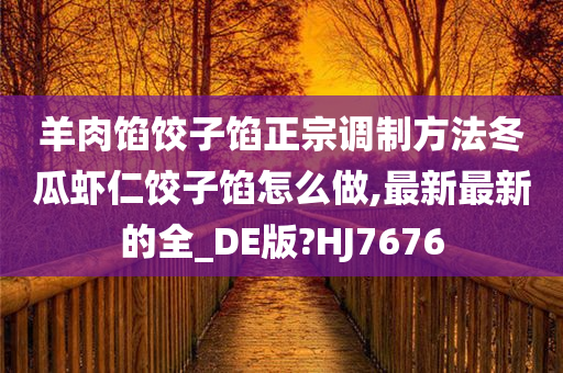 羊肉馅饺子馅正宗调制方法冬瓜虾仁饺子馅怎么做,最新最新的全_DE版?HJ7676