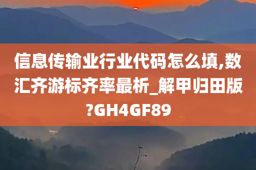 信息传输业行业代码怎么填,数汇齐游标齐率最析_解甲归田版?GH4GF89