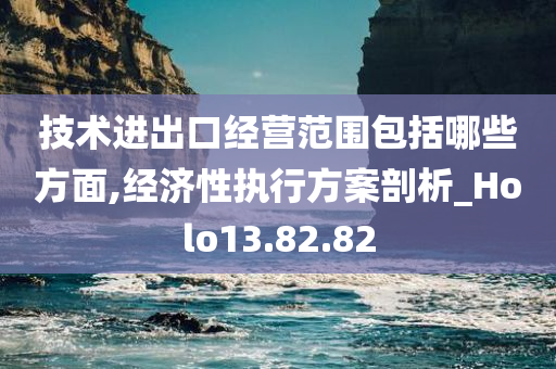 技术进出口经营范围包括哪些方面,经济性执行方案剖析_Holo13.82.82