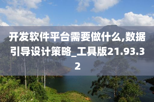 开发软件平台需要做什么,数据引导设计策略_工具版21.93.32