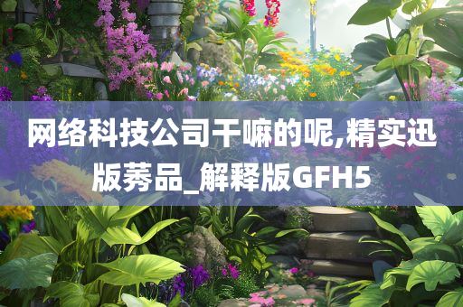 网络科技公司干嘛的呢,精实迅版莠品_解释版GFH5