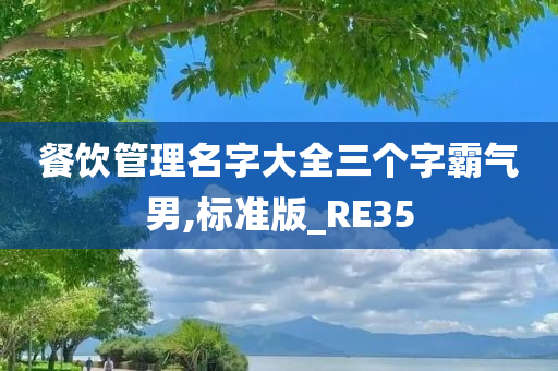 餐饮管理名字大全三个字霸气男,标准版_RE35