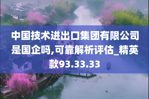 中国技术进出口集团有限公司是国企吗,可靠解析评估_精英款93.33.33