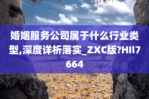 婚姻服务公司属于什么行业类型,深度详析落实_ZXC版?HII7664