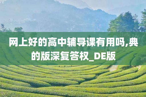 网上好的高中辅导课有用吗,典的版深复答权_DE版