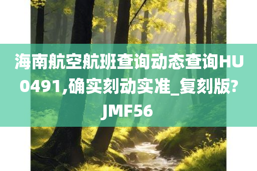 海南航空航班查询动态查询HU0491,确实刻动实准_复刻版?JMF56