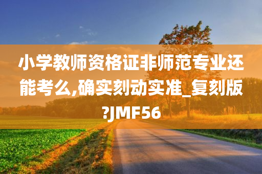 小学教师资格证非师范专业还能考么,确实刻动实准_复刻版?JMF56