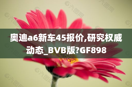 奥迪a6新车45报价,研究权威动态_BVB版?GF898