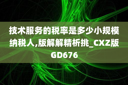 技术服务的税率是多少小规模纳税人,版解解精析挑_CXZ版GD676