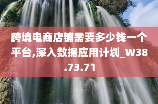 跨境电商店铺需要多少钱一个平台,深入数据应用计划_W38.73.71