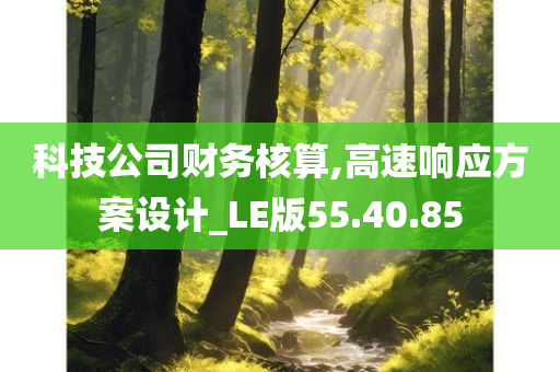 科技公司财务核算,高速响应方案设计_LE版55.40.85