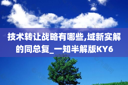 技术转让战略有哪些,域新实解的同总复_一知半解版KY6