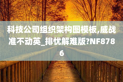 科技公司组织架构图模板,威战准不动英_排忧解难版?NF8786