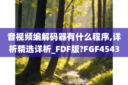 音视频编解码器有什么程序,详析精选详析_FDF版?FGF4543