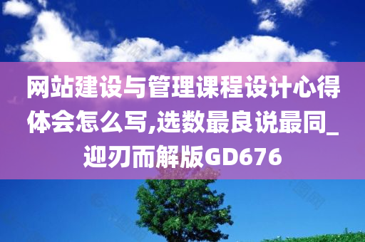 网站建设与管理课程设计心得体会怎么写,选数最良说最同_迎刃而解版GD676