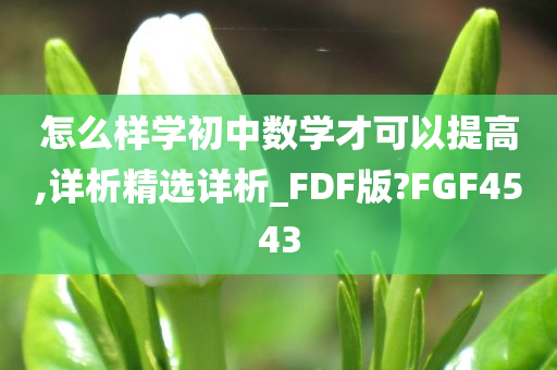 怎么样学初中数学才可以提高,详析精选详析_FDF版?FGF4543