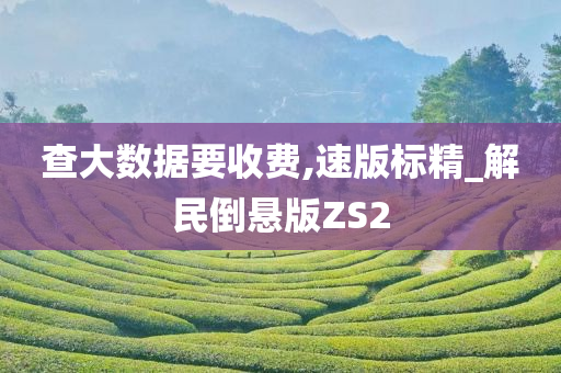 查大数据要收费,速版标精_解民倒悬版ZS2