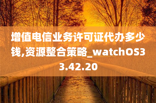 增值电信业务许可证代办多少钱,资源整合策略_watchOS33.42.20