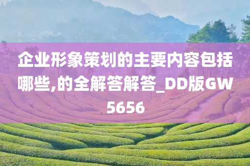 企业形象策划的主要内容包括哪些,的全解答解答_DD版GW5656