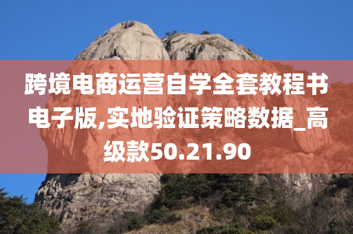 跨境电商运营自学全套教程书电子版,实地验证策略数据_高级款50.21.90