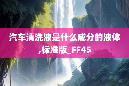 汽车清洗液是什么成分的液体,标准版_FF45