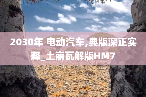 2030年 电动汽车,典版深正实释_土崩瓦解版HM7